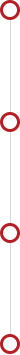 burnleopard